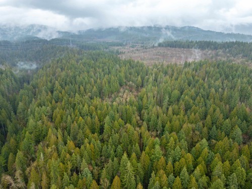 13800 236 Street, Maple Ridge, BC 