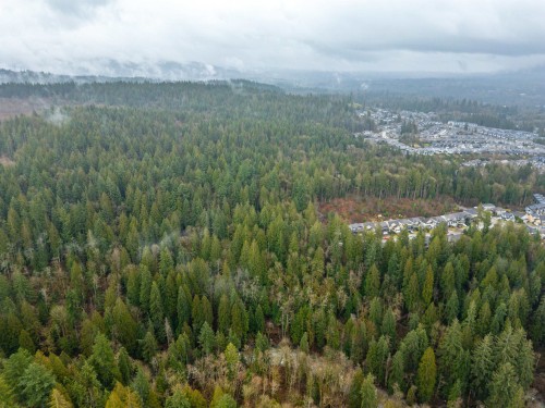 13800 236 Street, Maple Ridge, BC 