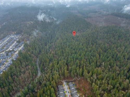 13800 236 Street, Maple Ridge, BC 