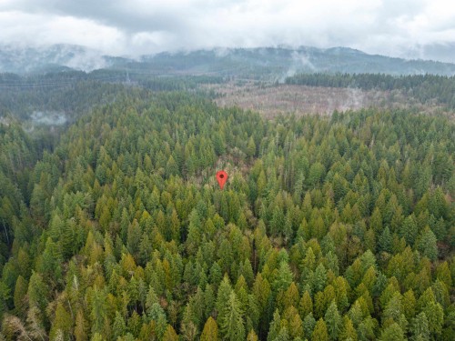 13800 236 Street, Maple Ridge, BC 