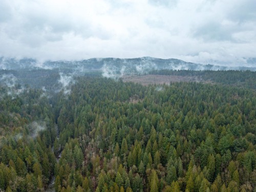 13800 236 Street, Maple Ridge, BC 