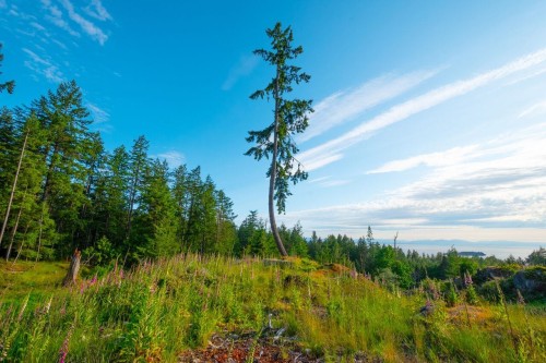 Lot 2 Innisfree Lane, Bowen Island, BC 