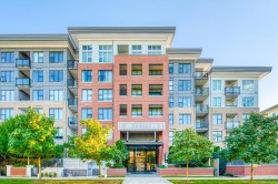 320-9388 Tomicki Avenue  Richmond, BC V6X 0P1