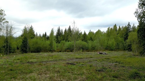 10575 287 Street, Maple Ridge, BC 