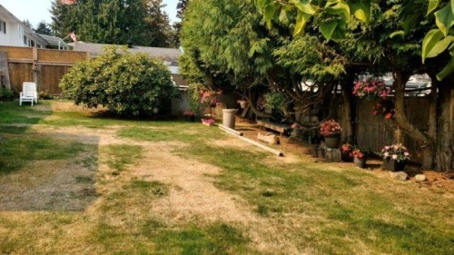 1639 Eden Avenue, Coquitlam, BC 