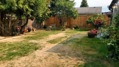 1639 Eden Avenue, Coquitlam, BC 