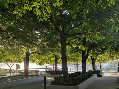 503-8 Smithe Mews, Vancouver, BC 