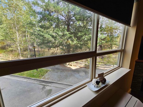 105-1490 Highway 99, Pemberton, BC 