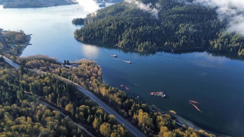 803-9262 University Crescent, Burnaby, BC 