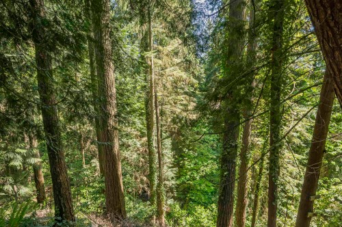 1168 Charland Avenue, Coquitlam, BC 