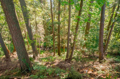 1168 Charland Avenue, Coquitlam, BC 