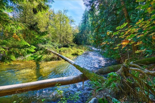 12680 239 Street, Maple Ridge, BC 