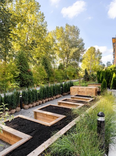 105-310 Salter Street, New Westminster, BC 