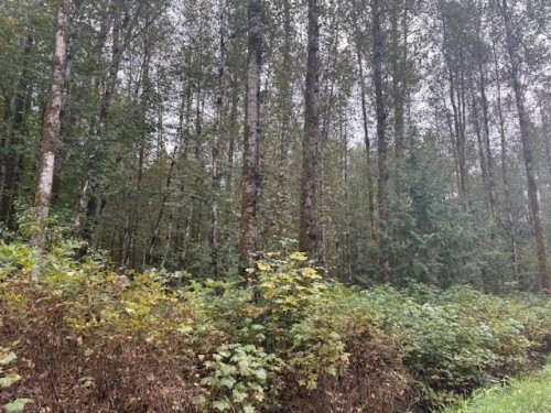 Dl990 Magee Road Nw, Squamish, BC 