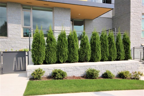 203-389 59Th Avenue W, Vancouver, BC 