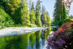 22696 132 Avenue  Maple Ridge, BC V4R 2R2