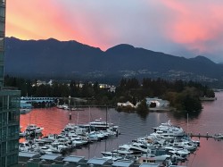 901-1409 Pender Street W Vancouver, BC V6G 2S3