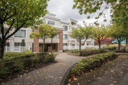 108-7117 Antrim Avenue  Burnaby, BC V5J 5K1