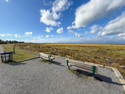 141-3031 Williams Road, Richmond, BC 