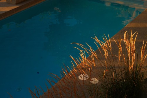 2391 Wall Street, Vancouver, BC 