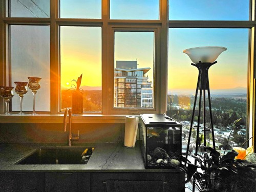 2102-505 Nelson Street, Coquitlam, BC 