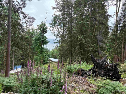 883 West Bay Road, Gambier Island, BC 