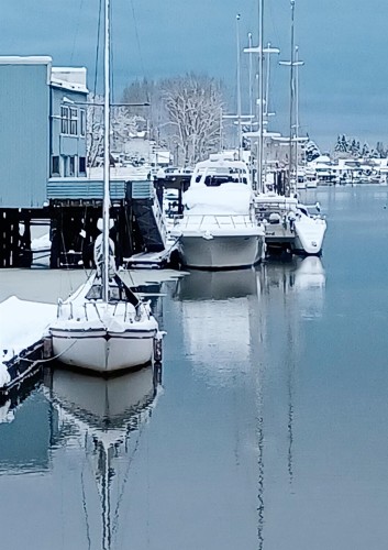 108-4753 River Road W, Delta, BC 