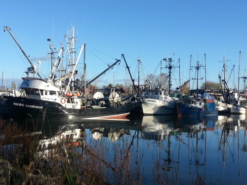 108-4753 River Road W, Delta, BC 