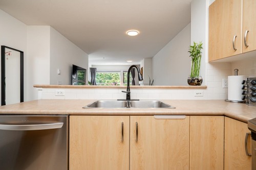 217-801 Klahanie Drive, Port Moody, BC 