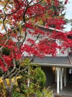 350 52a Street  Delta, BC V4M 2Z9