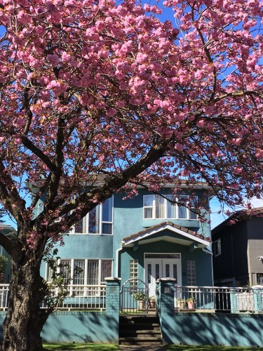 1257 60Th Avenue E, Vancouver, BC 