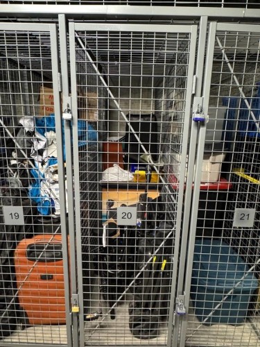 402-11655 Fraser St, Maple Ridge, BC 