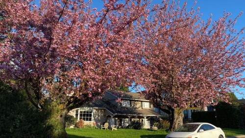 3380 Glasgow Street, Port Coquitlam, BC 