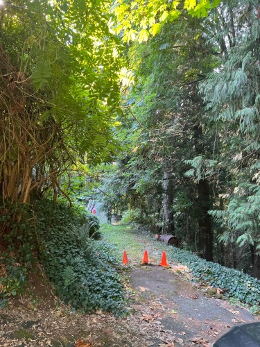 1320 Austin Avenue, Coquitlam, BC 