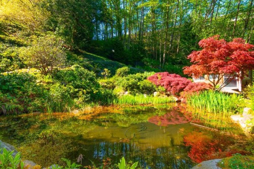 4228 Rockridge Crescent, West Vancouver, BC 