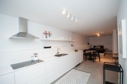 2-563 Union Street  Vancouver, BC V6A 2B7