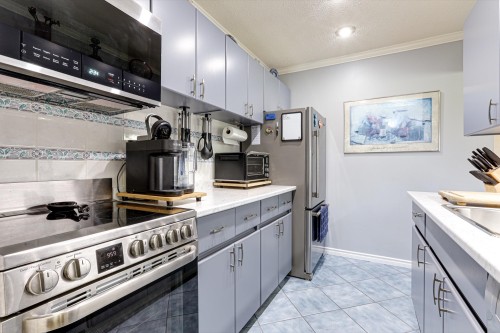 301-1048 King Albert Avenue, Coquitlam, BC 