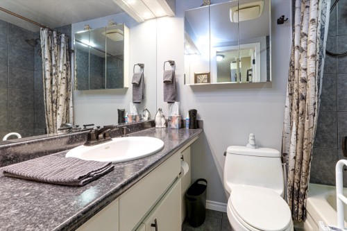 301-1048 King Albert Avenue, Coquitlam, BC 