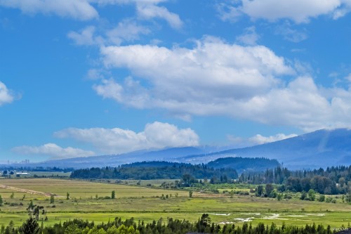 14046 Mier Drive, Maple Ridge, BC 