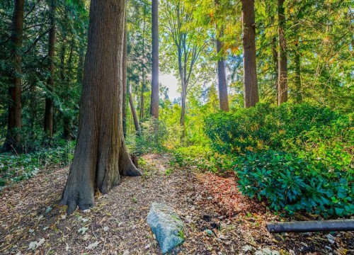 8061 Mcgregor Avenue, Burnaby, BC 