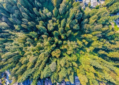 8061 Mcgregor Avenue, Burnaby, BC 