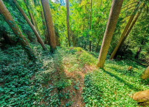 8061 Mcgregor Avenue, Burnaby, BC 