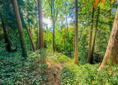 8061 Mcgregor Avenue, Burnaby, BC 