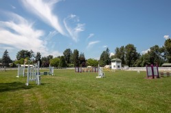 21973 132 Avenue  Maple Ridge, BC V4R 0A7