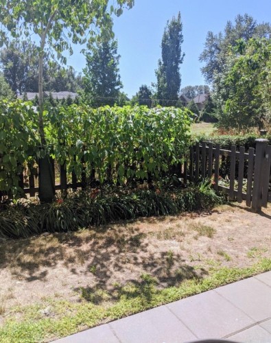 59-5550 Admiral Way, Delta, BC 