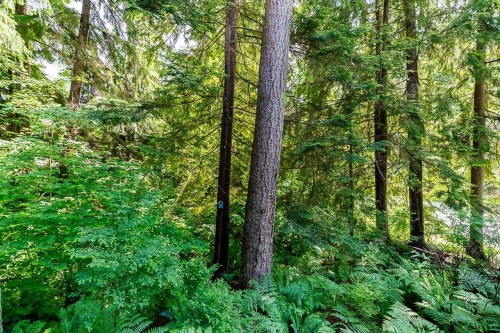 1174 Strathaven Drive, North Vancouver, BC 