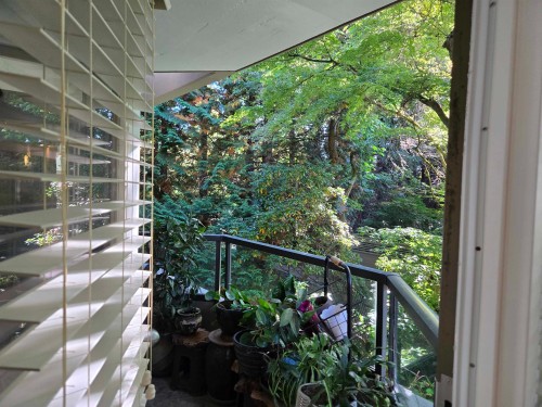 311-3905 Springtree Drive, Vancouver, BC 