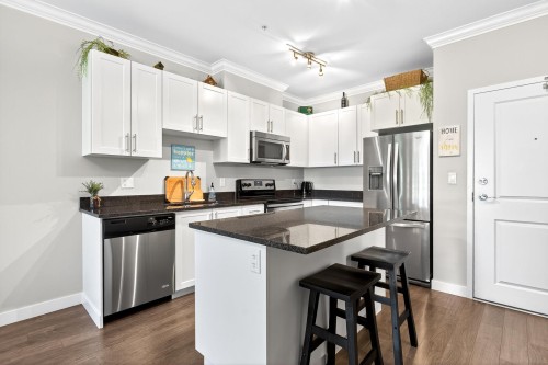 202-11580 223 Street, Maple Ridge, BC 