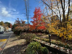 8410 Keystone Street  Vancouver, BC V5S 4S2