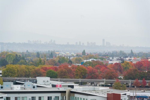 1410-5508 Hollybridge Way, Richmond, BC 